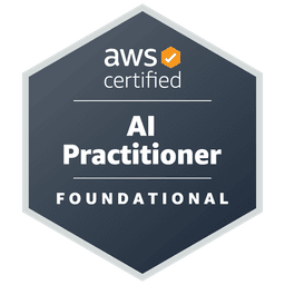 AI Practitioner